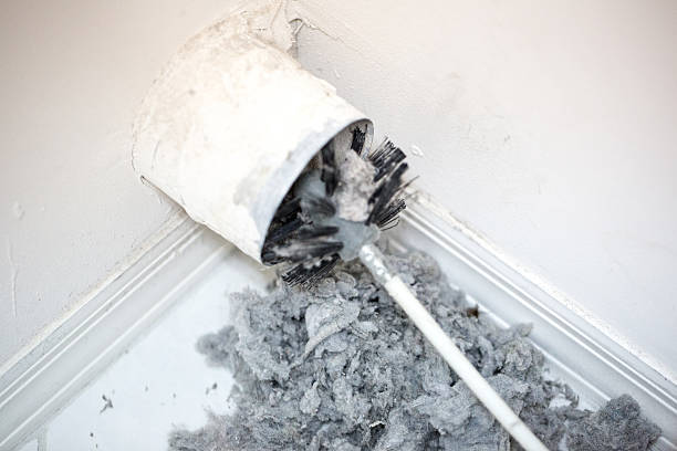 Air Duct Mold Removal in NY